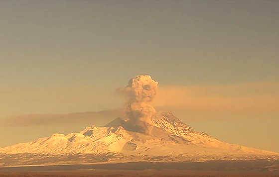Фотохроника 21 ноября