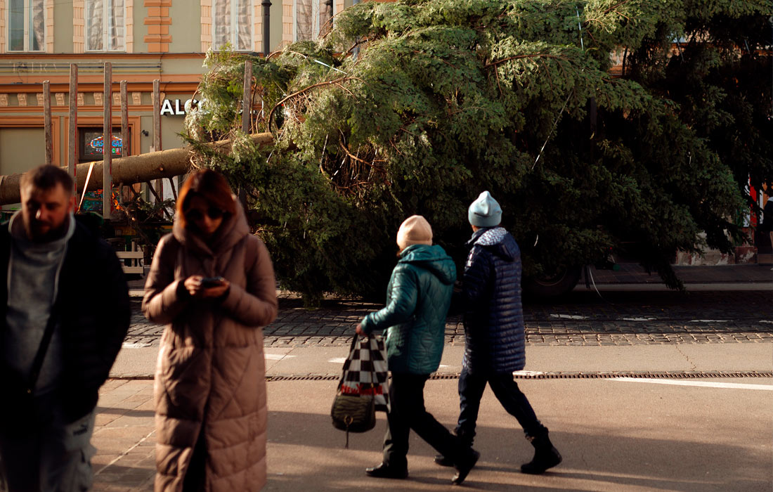 Доставка рождественской елки в Словакию