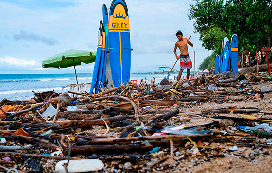 Фотохроника 24 ноября