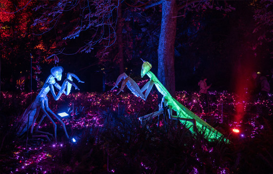 Фотохроника 25 ноября