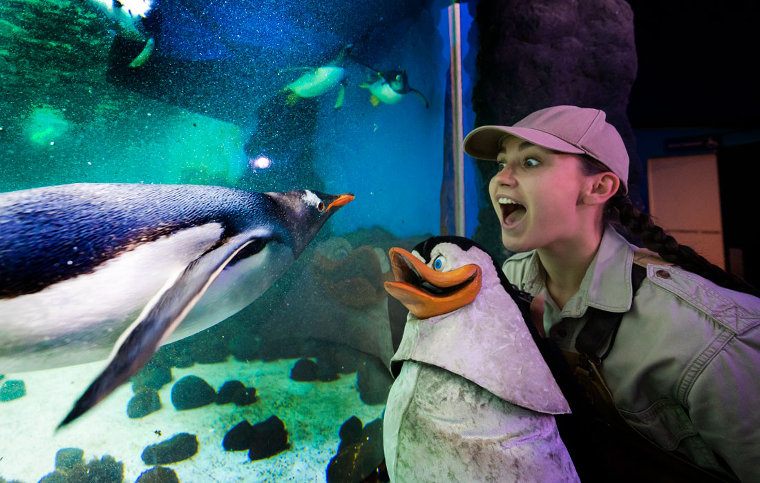 Пингвины в Сиднейском аквариуме SEA LIFE