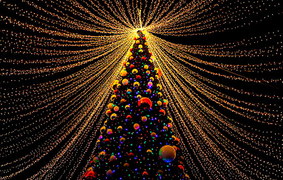 Фотохроника 2 декабря