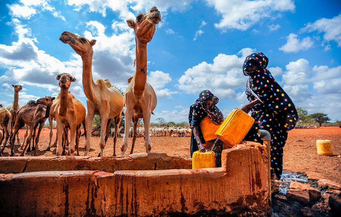 Переселенцы из кенийской Мандеры борются с засухой