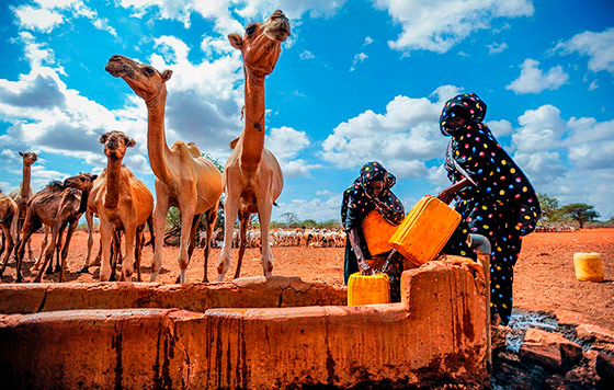 Фотохроника 5 декабря