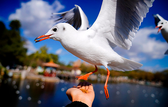 Фотохроника 7 декабря