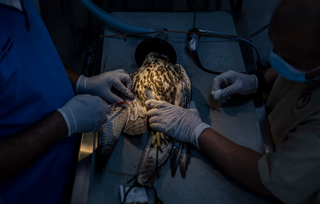 Больницы укомплектованы всем необходимым для оказания медицинской помощи