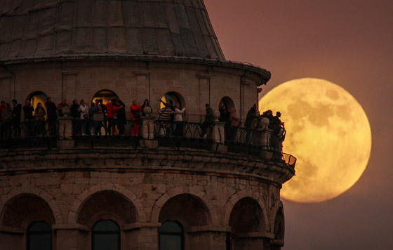 Лучшие фото недели