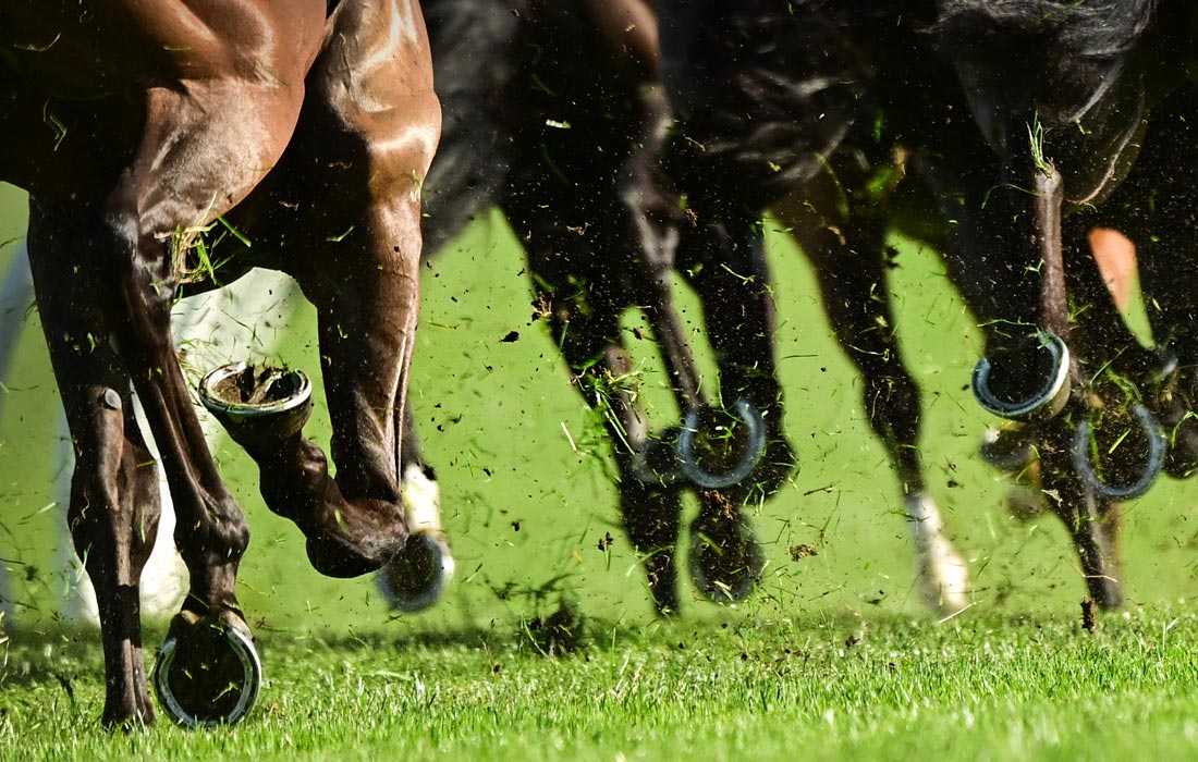 Скачки в Мельбурне