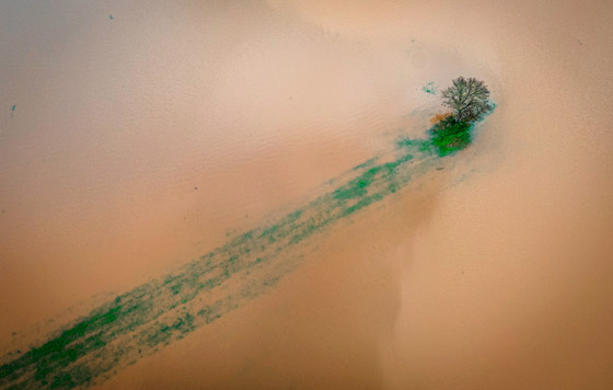 Фотохроника 15 декабря