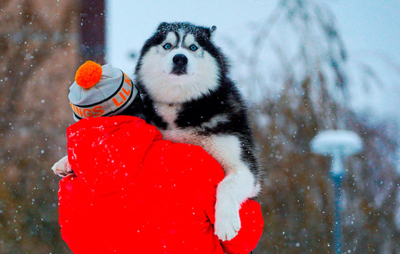 Фотохроника 19 декабря