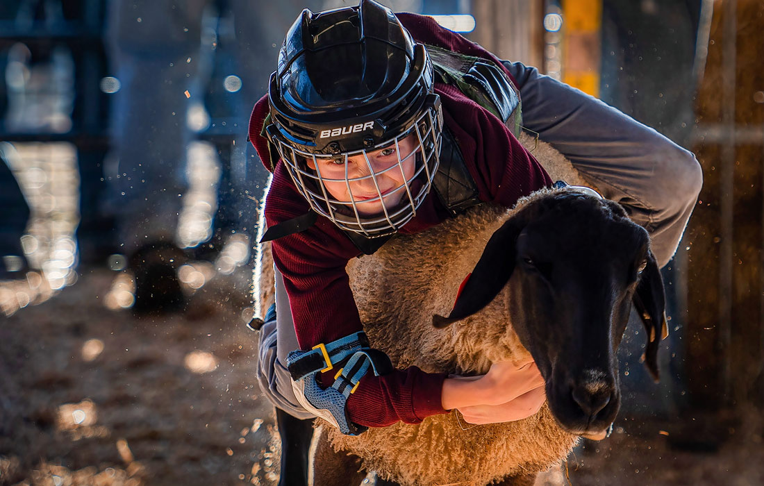 Соревнования во время сельскохозяйственной ярмарки в Блумсбурге, США