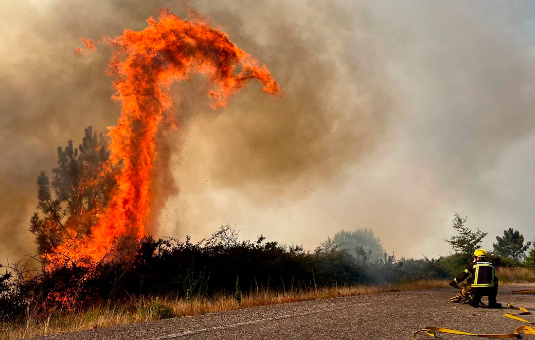 Тушение лесного пожара в регионе Галисия, Испания