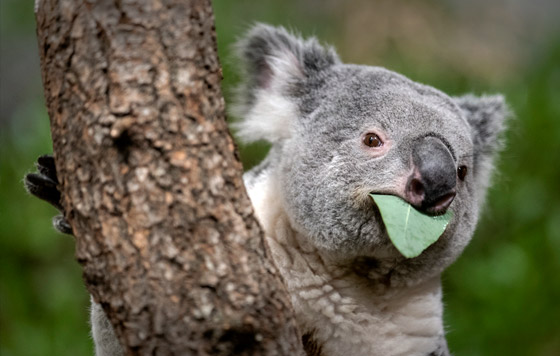 Фотохроника 22 декабря