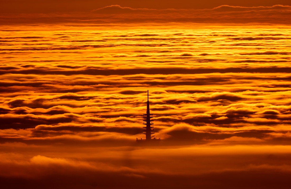 Туман во Франкфурте