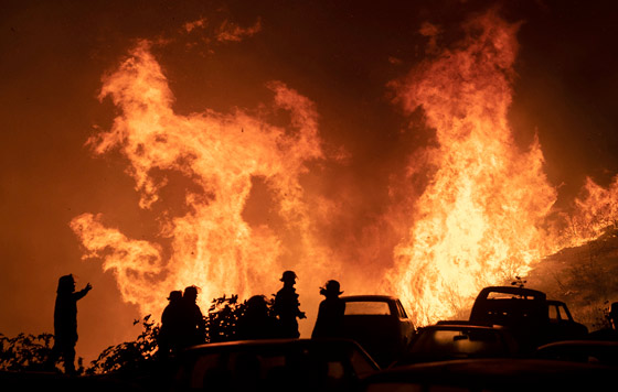 Фотохроника 23 декабря