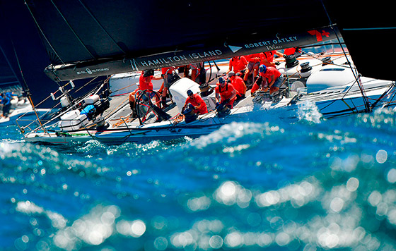 Фотохроника 26 декабря