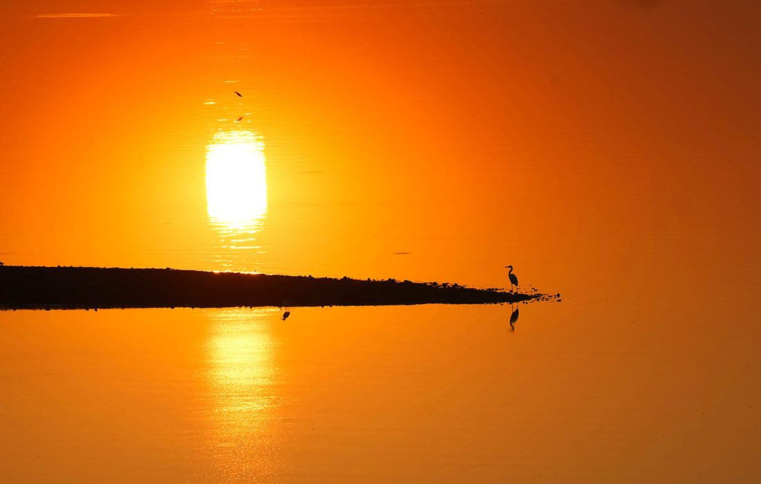 Закат в индийском штате Уттар-Прадеш