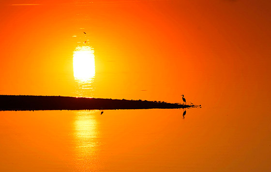 Фотохроника 29 декабря