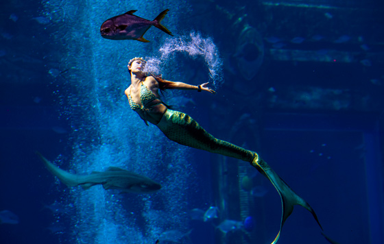 Фотохроника 30 декабря