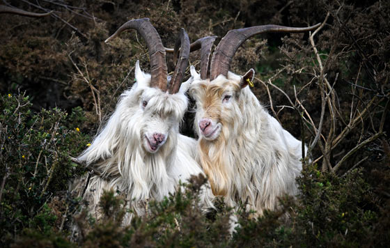 Фотохроника 10 января