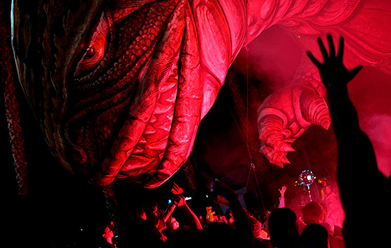 Фотохроника 11 января