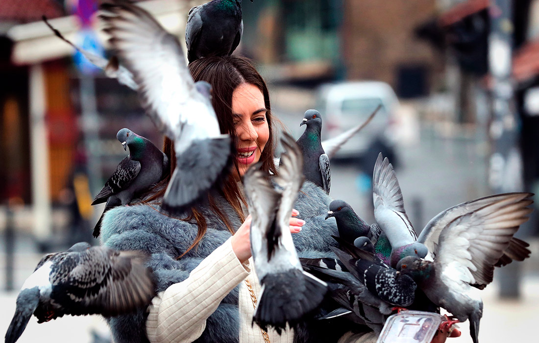 Женщина кормит голубей в Сараево, Босния и Герцеговина