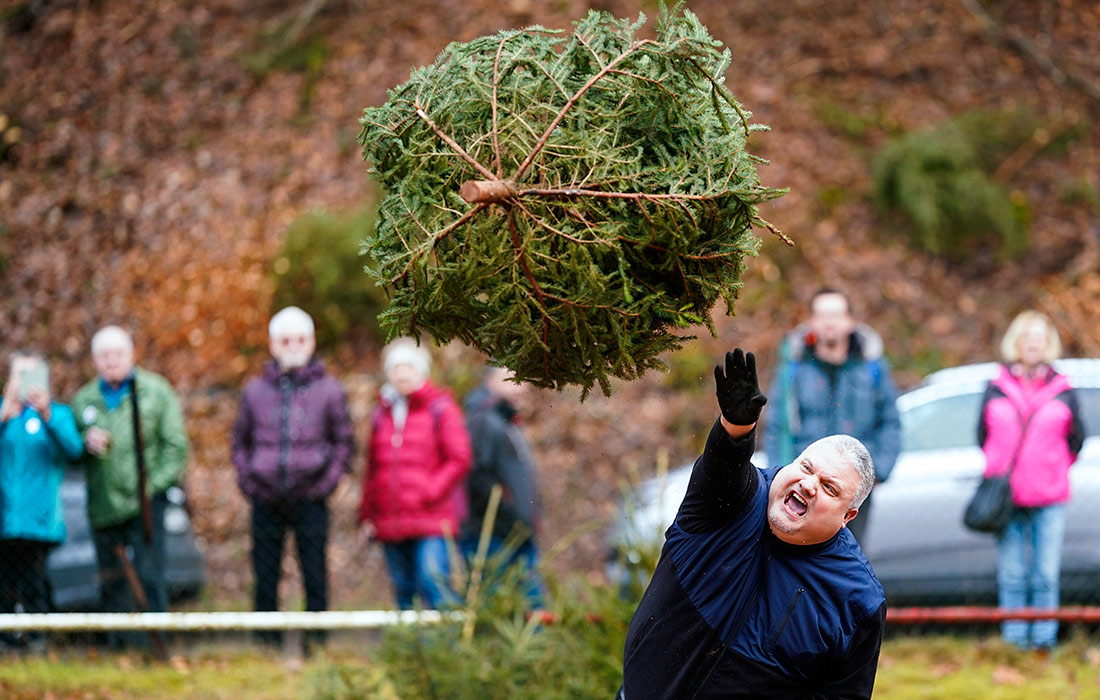 Чемпионат мира по метанию рождественских елей в Германии