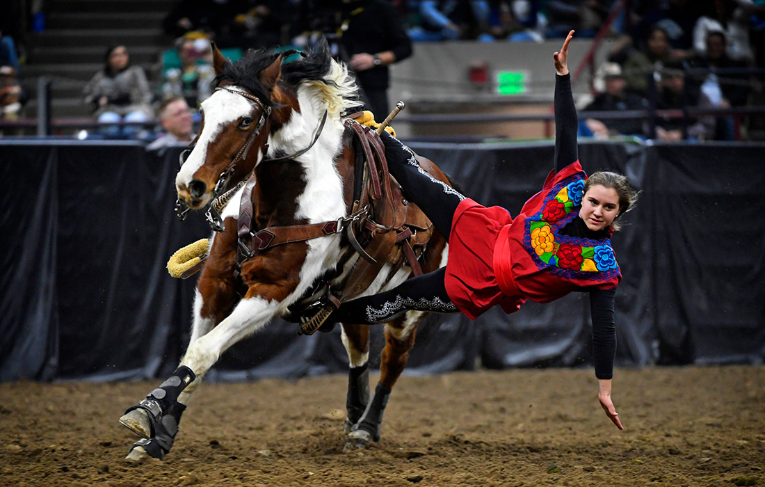 Родео в Денвере, США