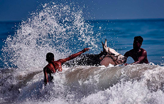 Фотохроника 16 января