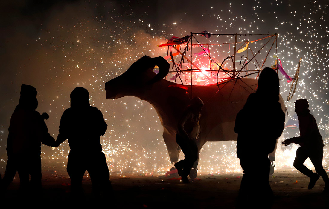Праздник Сан-Антонио-Абада в Мексике