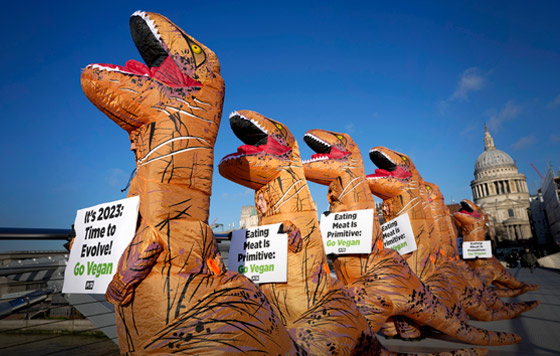 Фотохроника 18 января