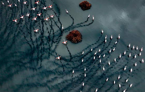 Лучшие фото недели