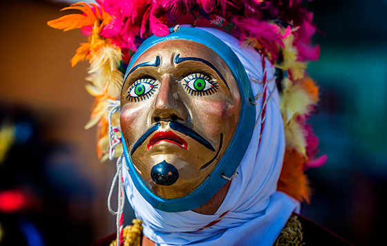 Фотохроника 24 января