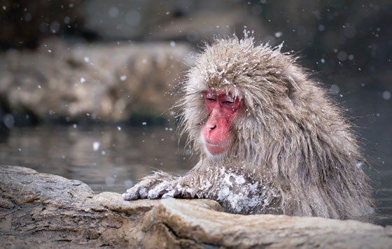 Лучшие фото недели