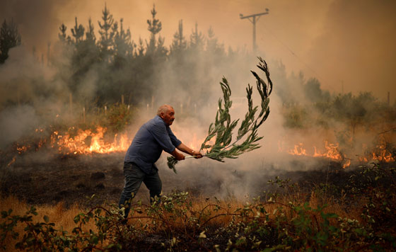 Фотохроника 6 февраля