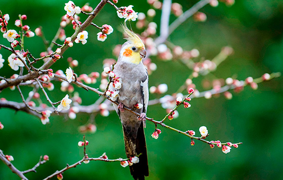 Фотохроника 9 февраля