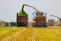 Российские фермеры намерены добиваться отмены акциза на дизтопливо для аграриев