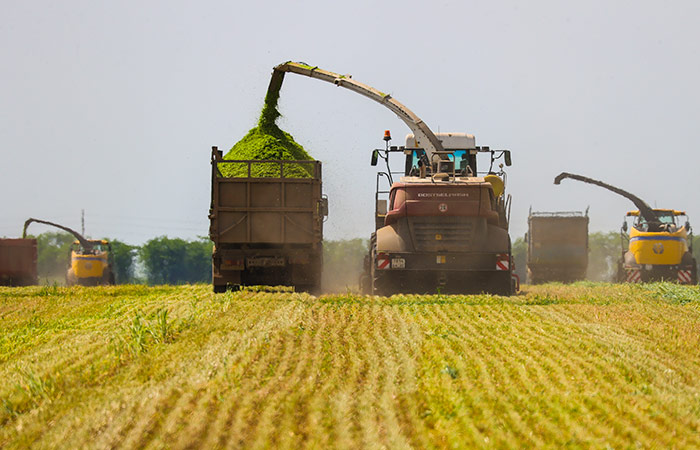 Российские фермеры намерены добиваться отмены акциза на дизтопливо для аграриев