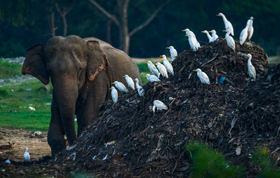 Фотохроника 14 февраля