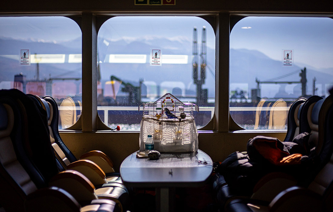 Паром Стамбула служит временным убежищем для пострадавших от землетрясения. На фото: клетка с попугаем, одного из пострадавших, на борту паромного судна.