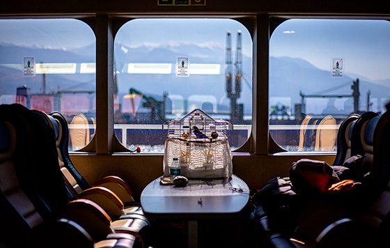 Фотохроника 15 февраля