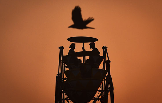 Лучшие фото недели