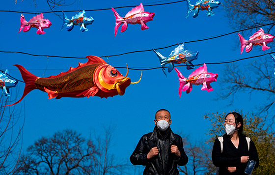 Фотохроника 20 февраля