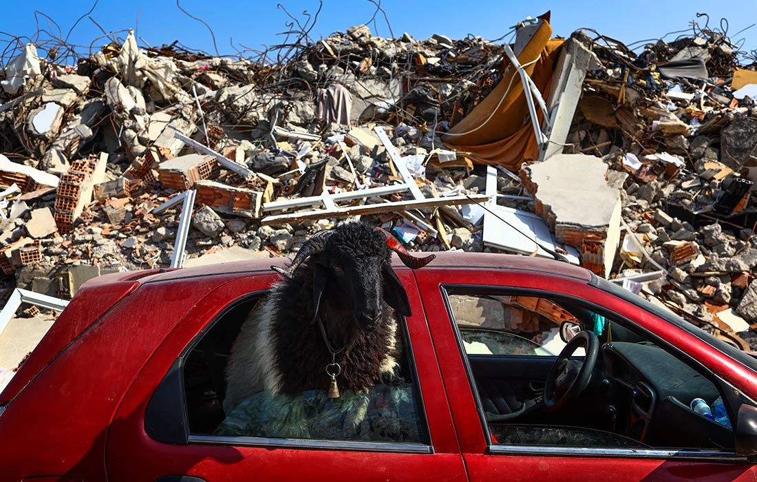 Повседневная жизнь после землетрясений в Хатае, Турция