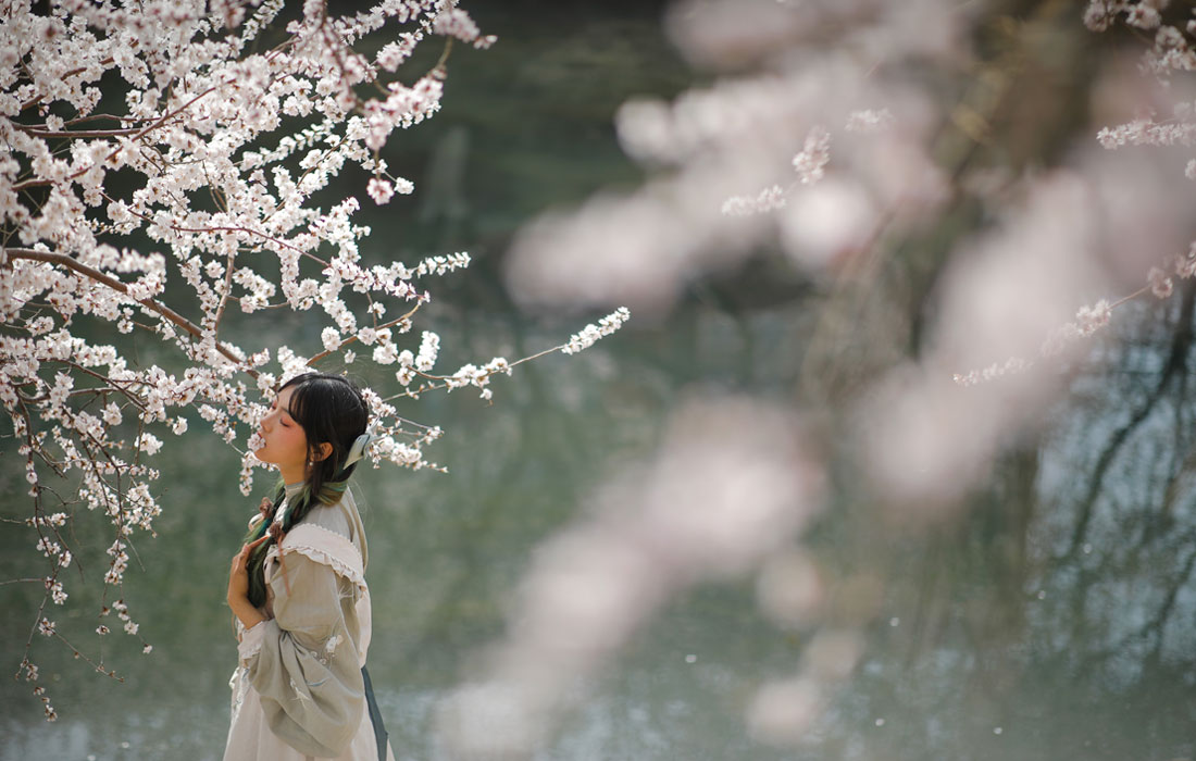 Цветение персиковых деревьев в Пекине