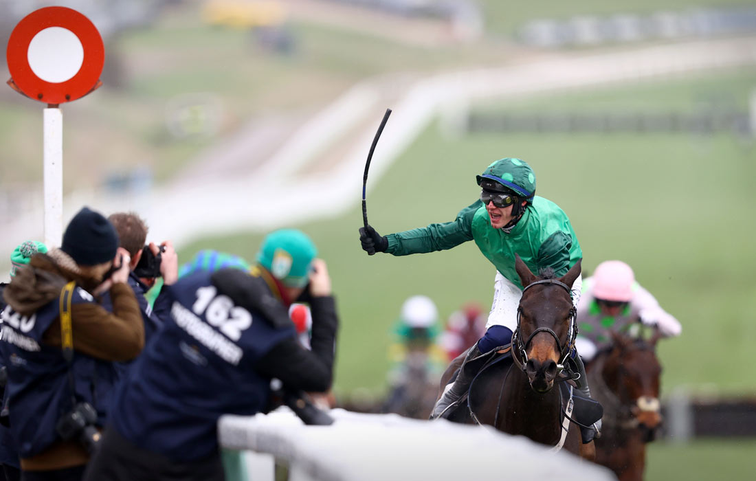 Участник скачек на Челтенхемском фестивале в Англии