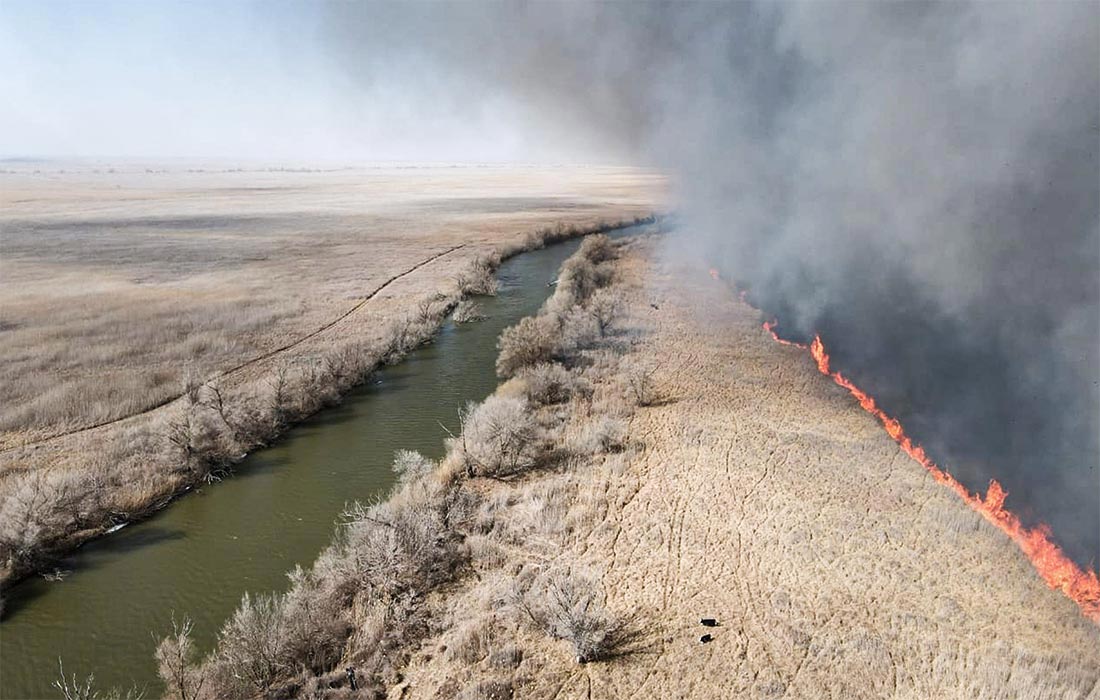 Пожар продолжается на Обжоровском участке Астраханского биосферного заповедника. Площадь пожара увеличилась до 8 тыс. га., сложная пожароопасная обстановка наблюдается по всей территории дельты Волги с 13 марта.
