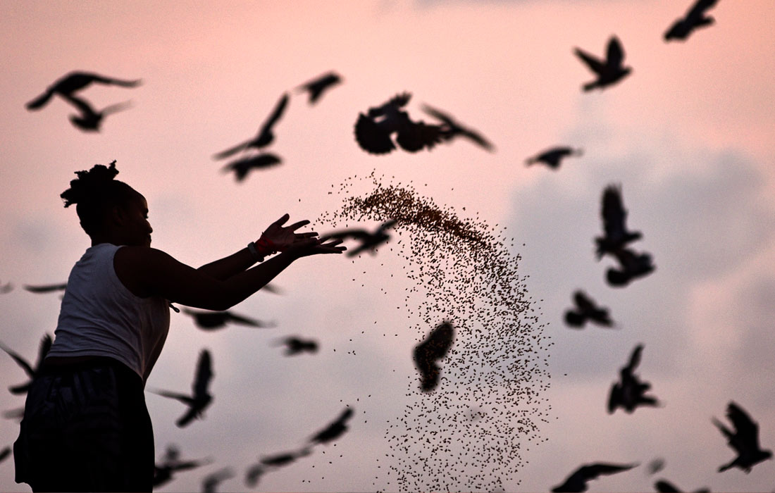 Девушка кормит птиц на пляже в индийском Ченнаи
