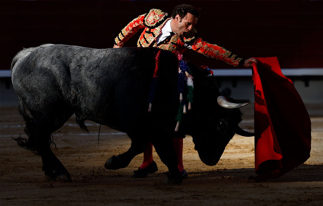 Коррида на фестивале Магдалены в Кастельоне, Испания