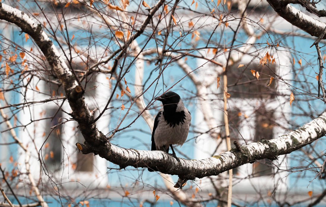 Весна в Москве